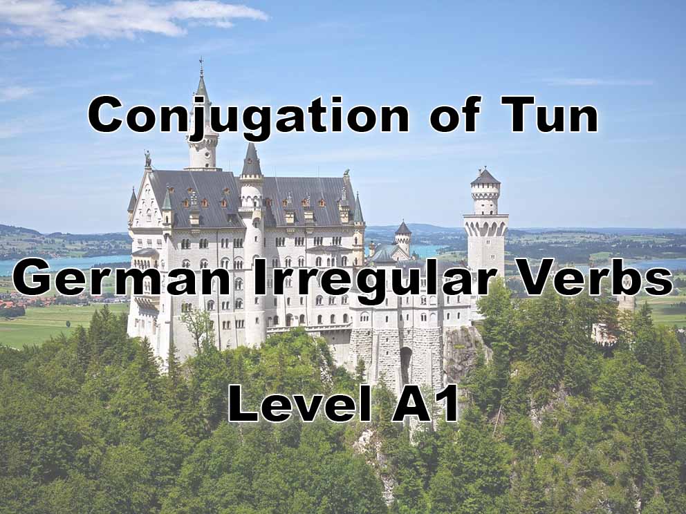 conjugation of tun