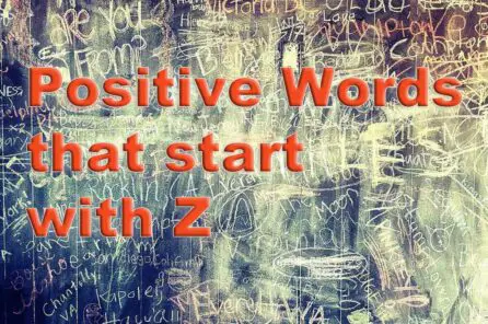 Positive Words that start with Z – 24 Zany and Zippy Words for Optimism