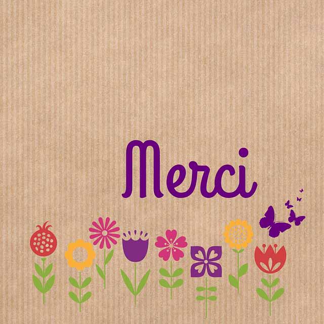 how to say thank you in french - merci bien